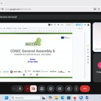 Spring COSEC project General Assembly (virtual) - 2