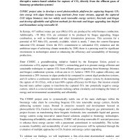 COSEC project 1st release - 2