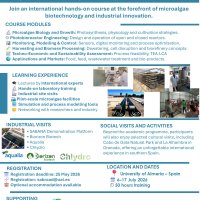 A sea of knowledge - STUDY ABROAD - 1