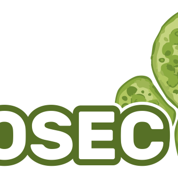 COSEC partner scientific publication