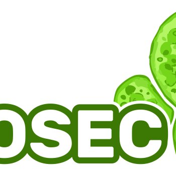 Easter wishes from the COSEC project team